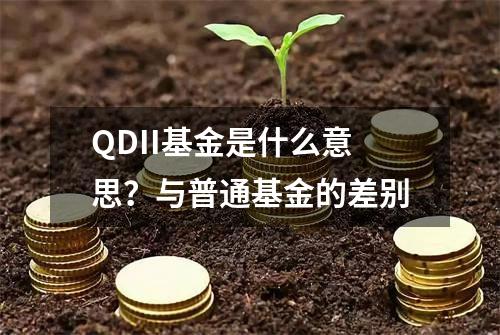 QDII基金是什么意思？与普通基金的差别