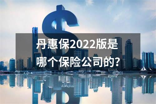 丹惠保2022版是哪个保险公司的？